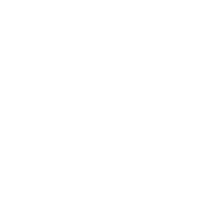 Logo WÜR blanco
